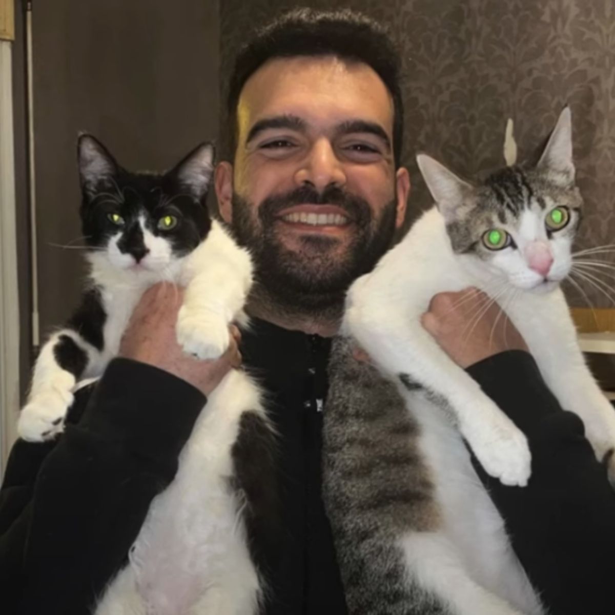 man holding two cats