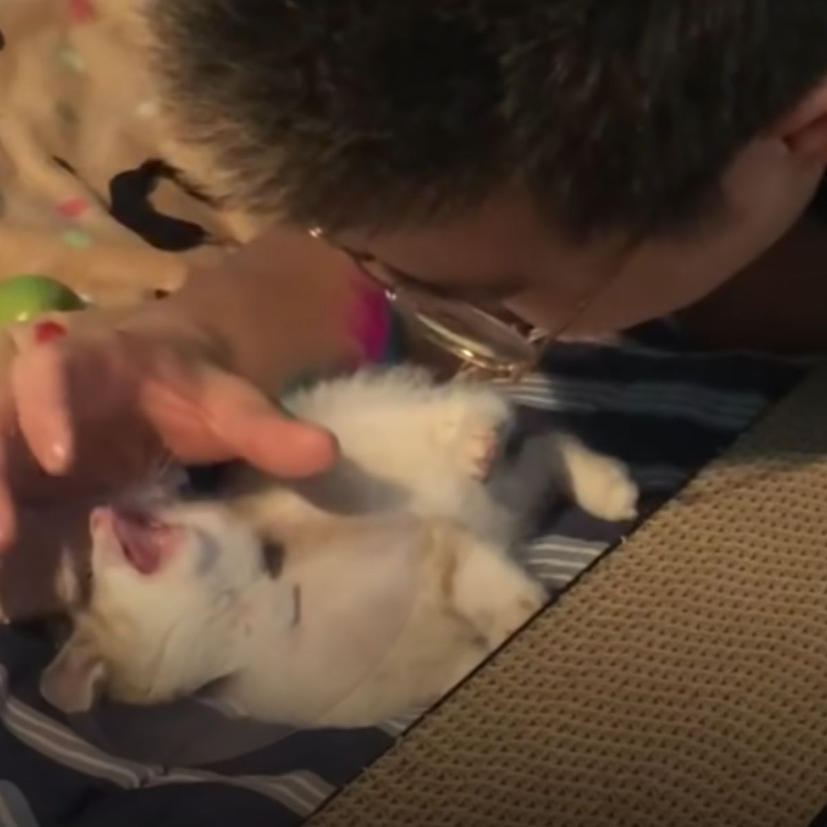 man playing with a kitten