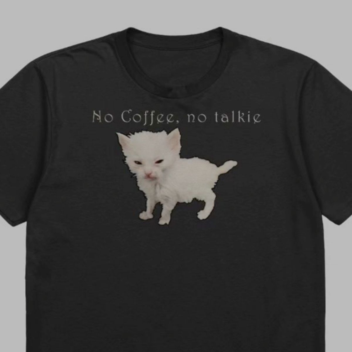 photo of a kitten on a shirt