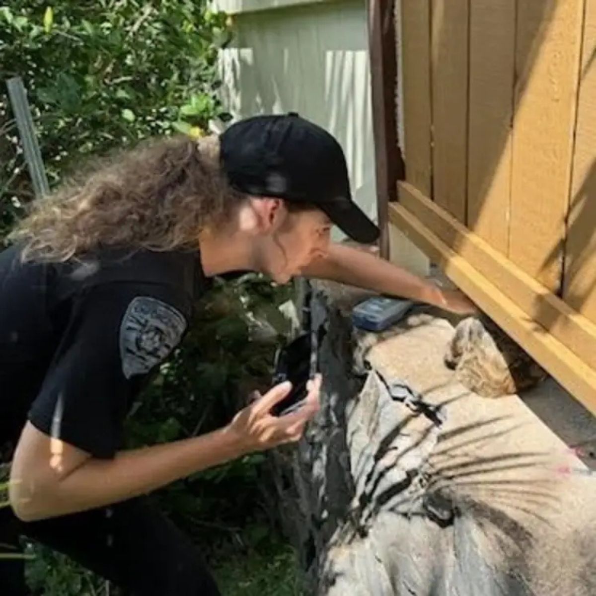 police officer trying to get cat