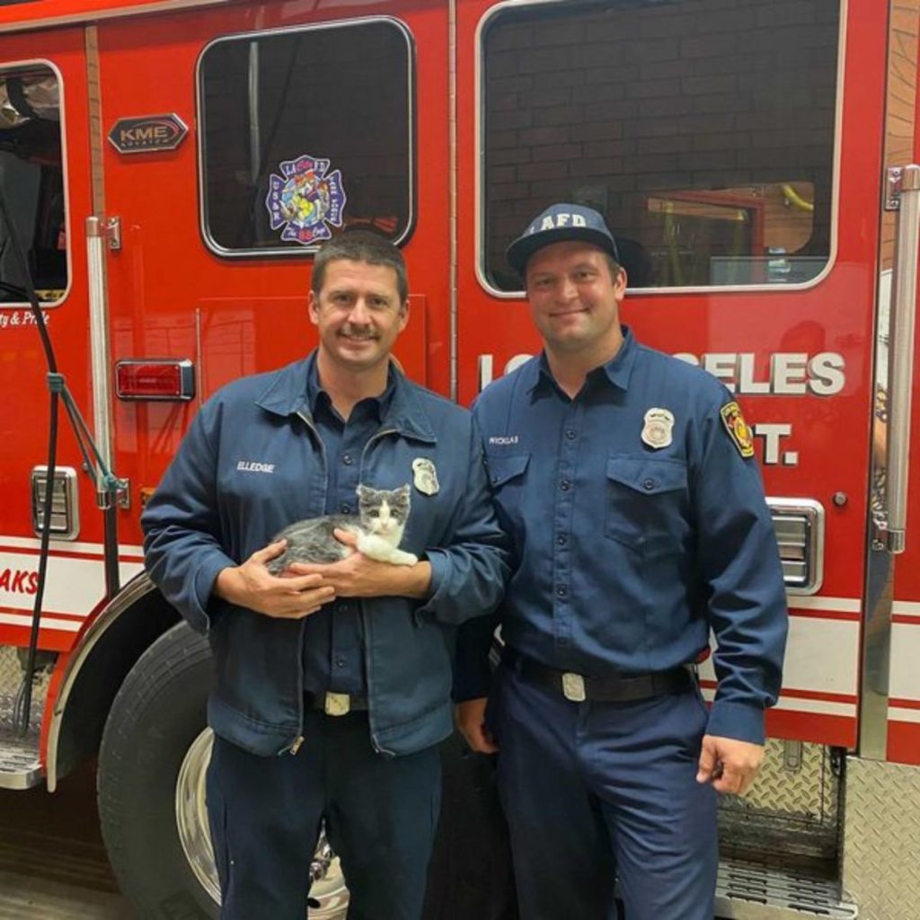 two firemen with a machete in their hands