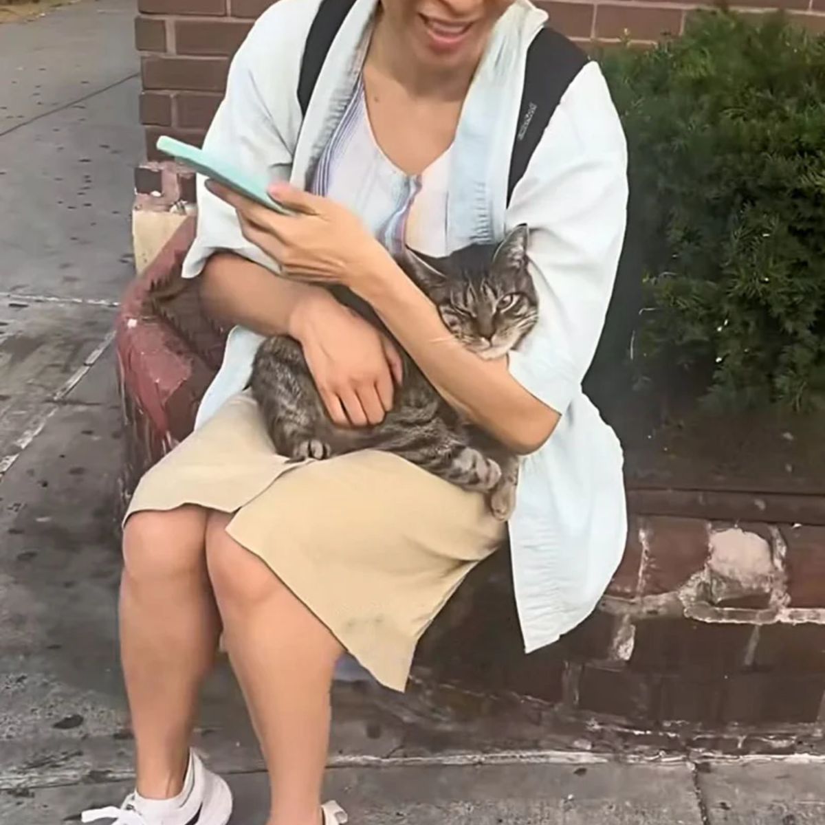 woman and cute cat