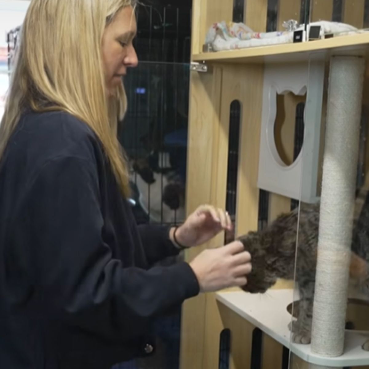 woman and cute domestic cat