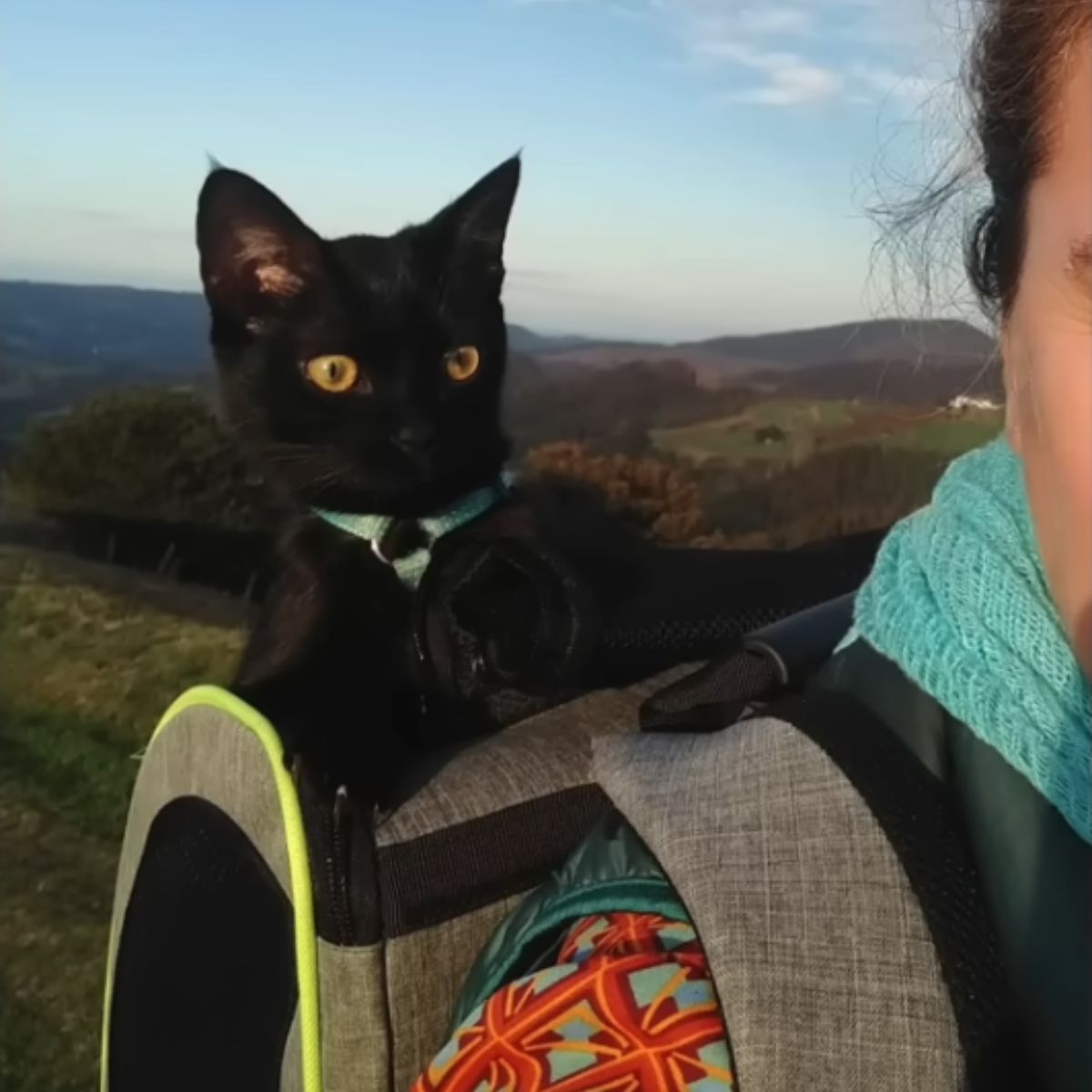 woman carrying the cat on her back