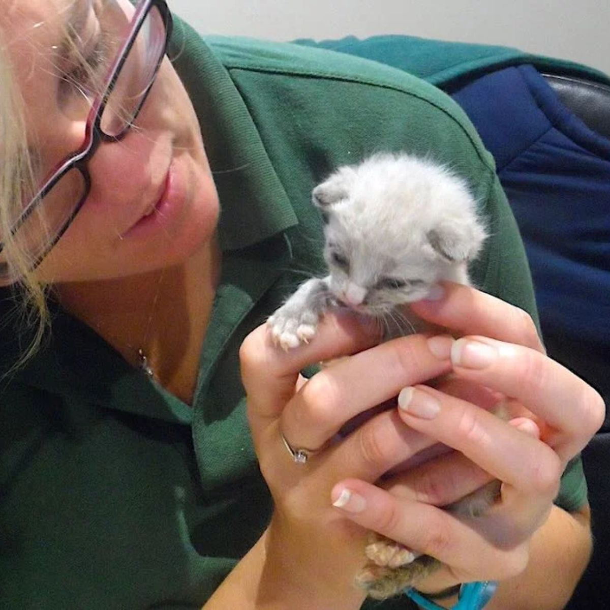 woman holding and looking at the kitten