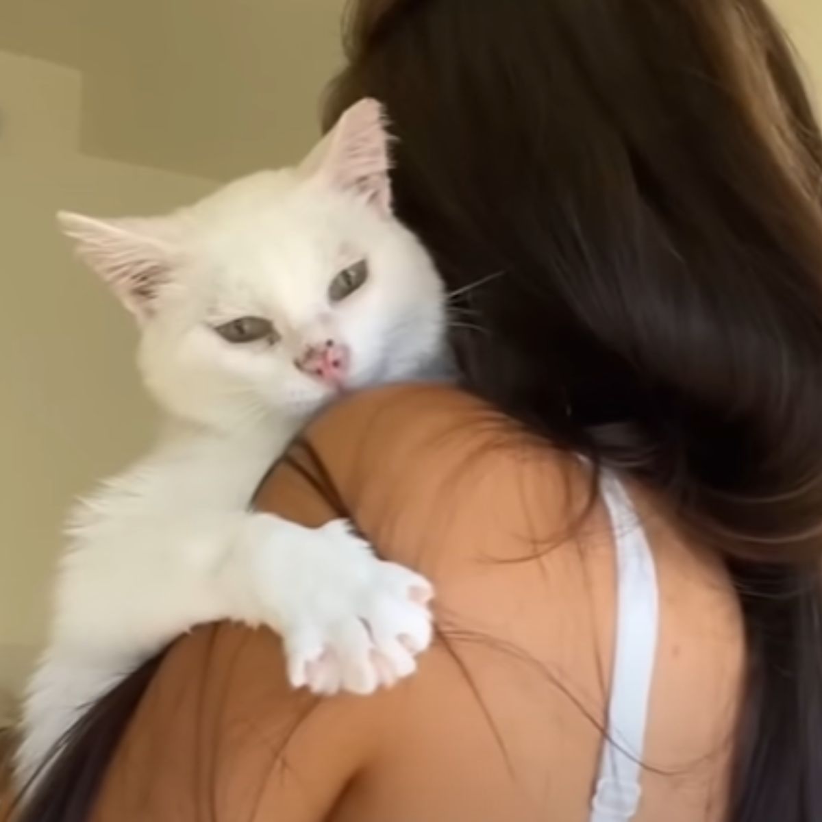 woman holding cat on her shoulder