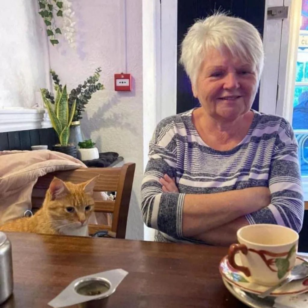 A woman is drinking coffee, a cat is sitting next to her