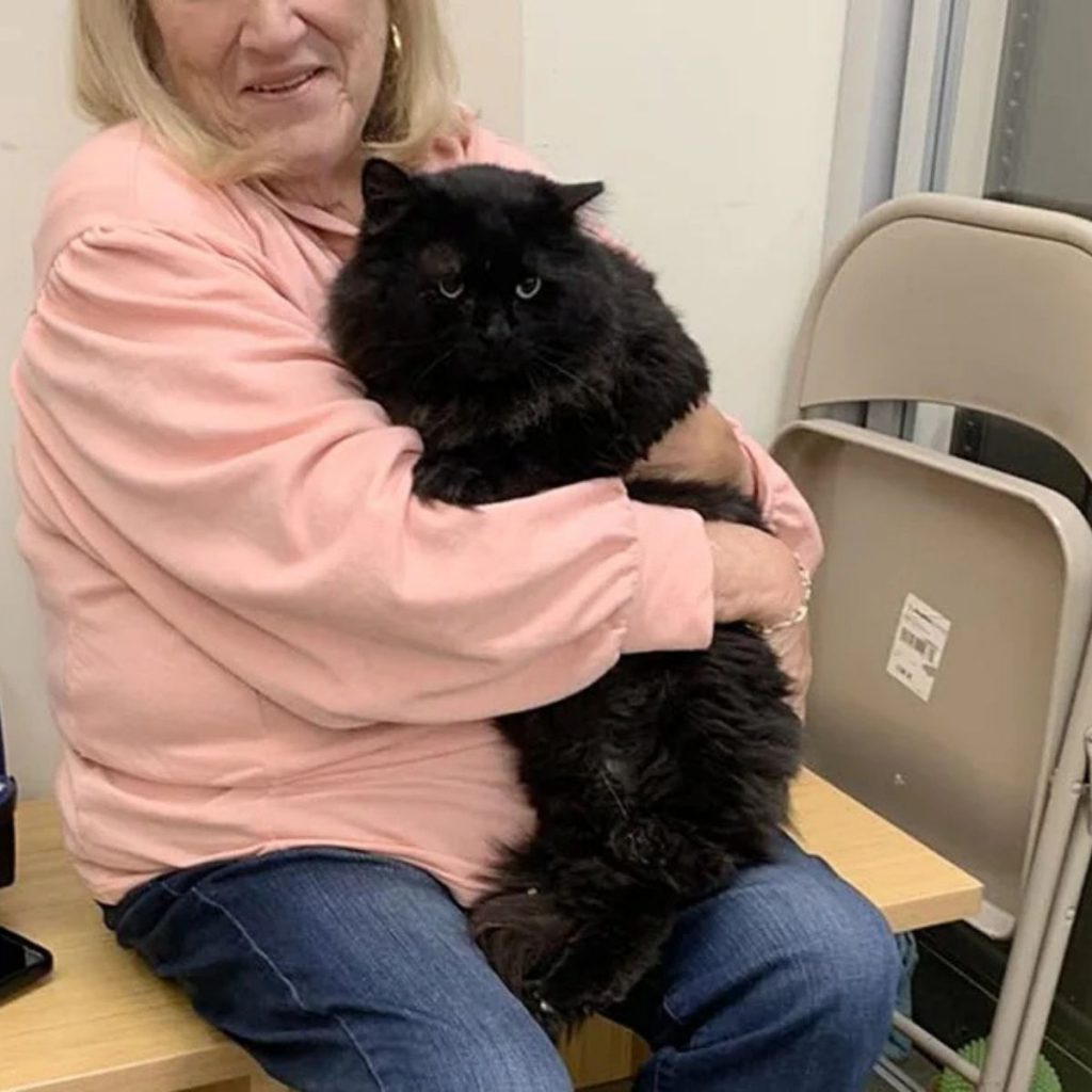 An elderly lady holds a black cat in her arms