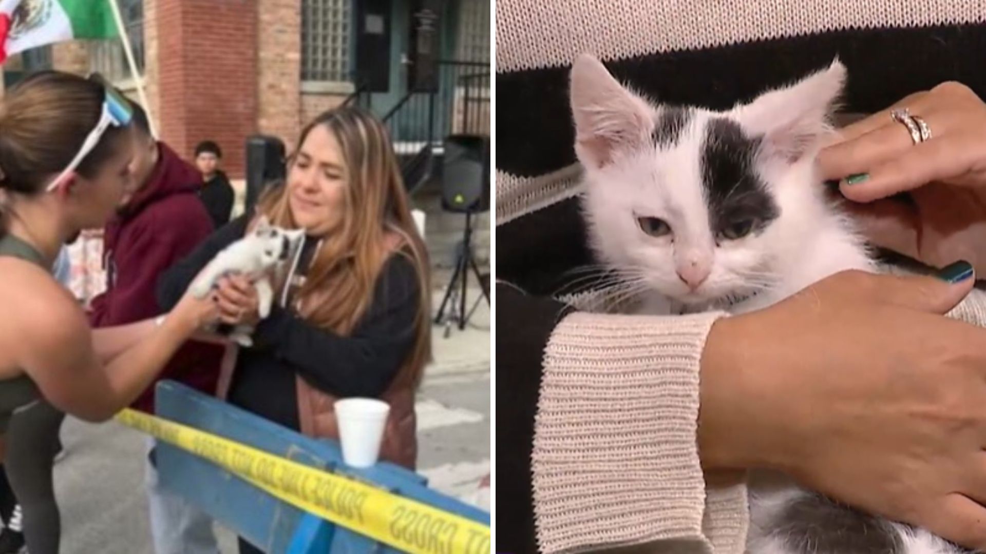 Marathon Runner Stops In The Middle Of Chicago Race To Save A Helpless Little Creature