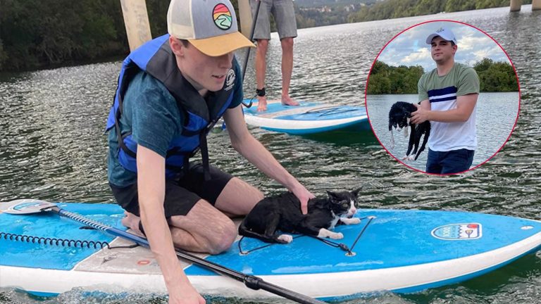 paddlers save cat falling from bridge