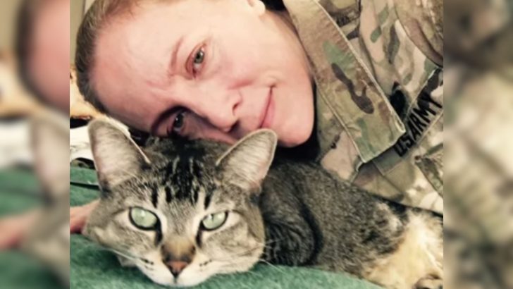 Soldier Wasn’t A Cat Person But This Kitten Refused To Give Up, Just Look At Them Now