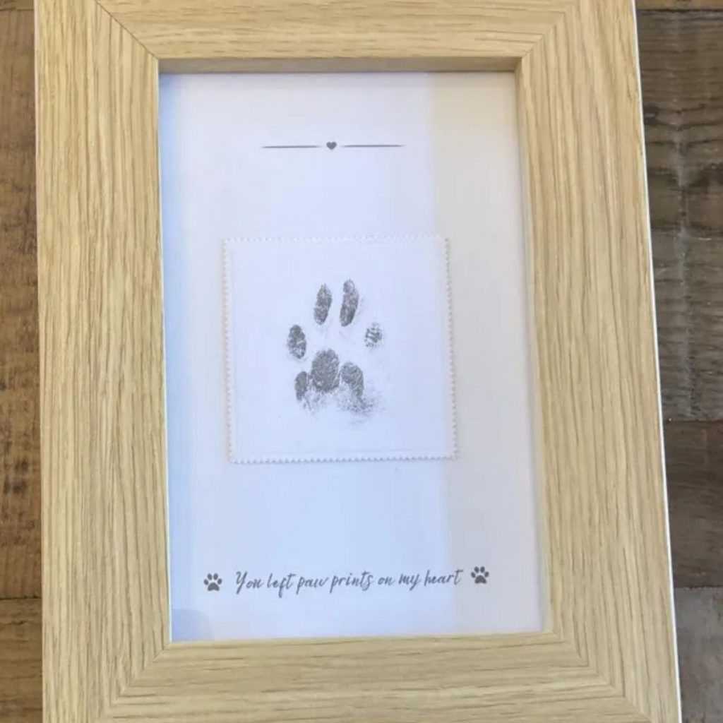 a framed picture with a cat's paw