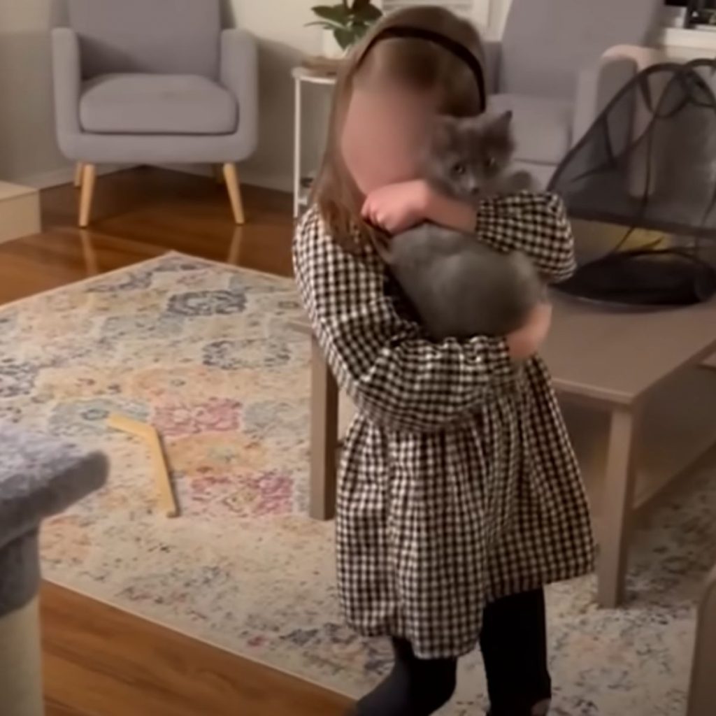 a girl is holding a cat in her arms