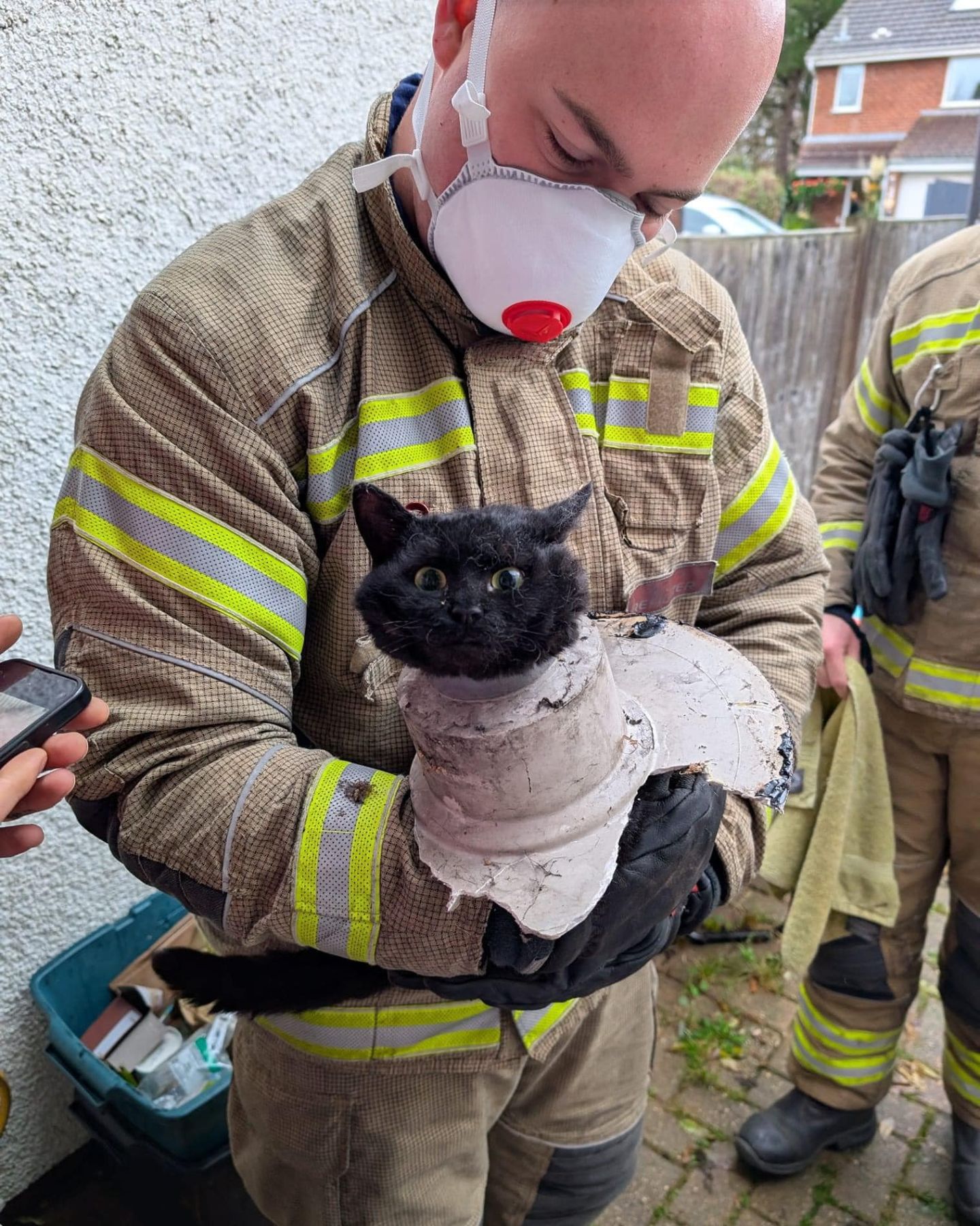 a rescuer holding injured cat