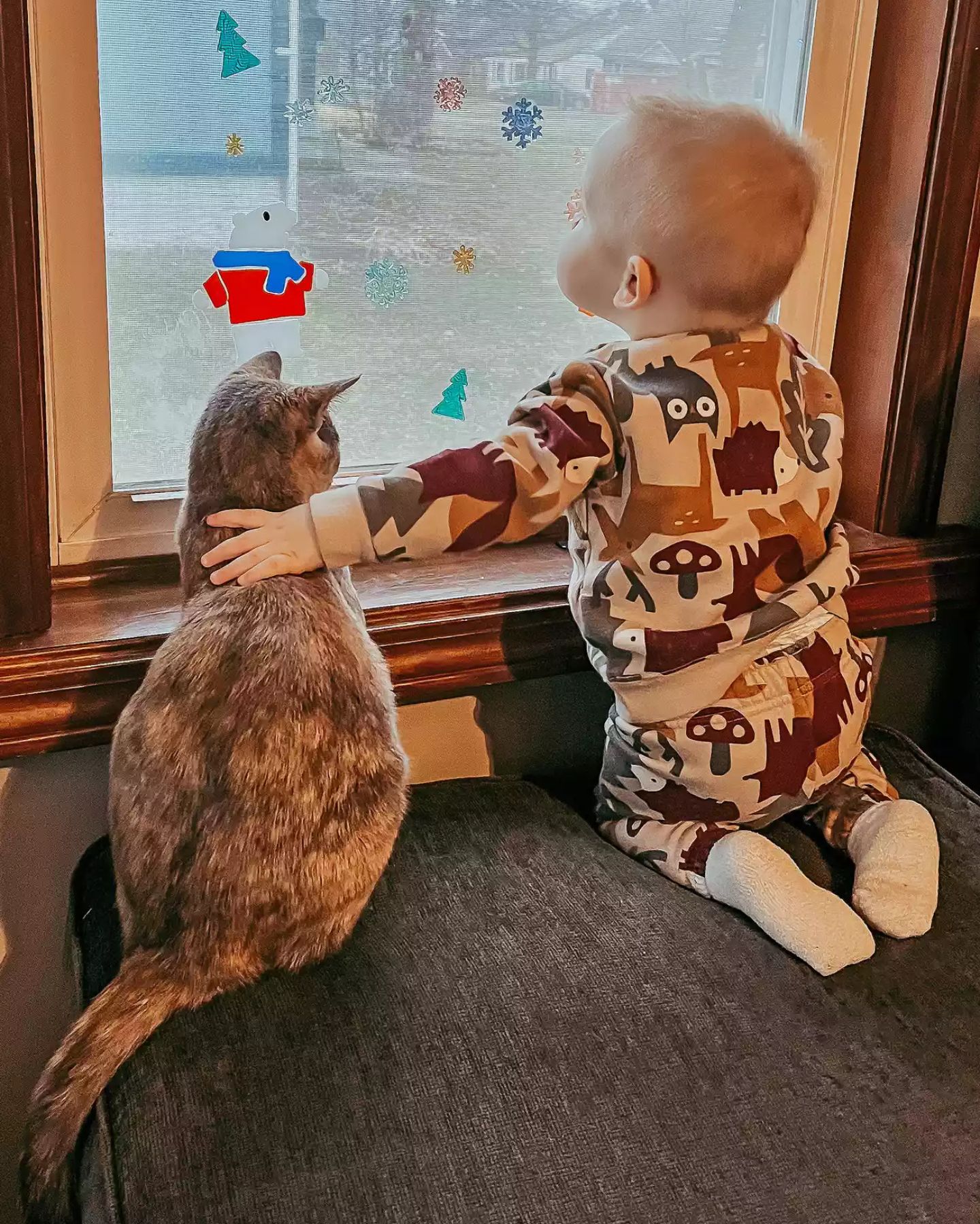 baby peeking with cat through the window