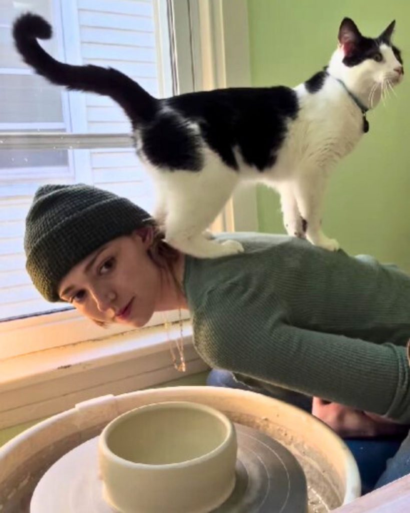 black and white cat standing on a woman's back