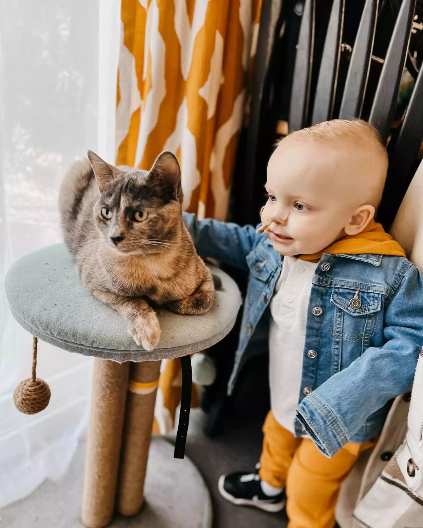 cute sick baby standing by cat