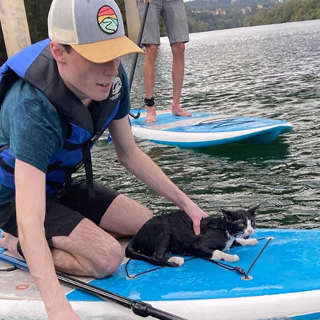 rower with a black and white cat