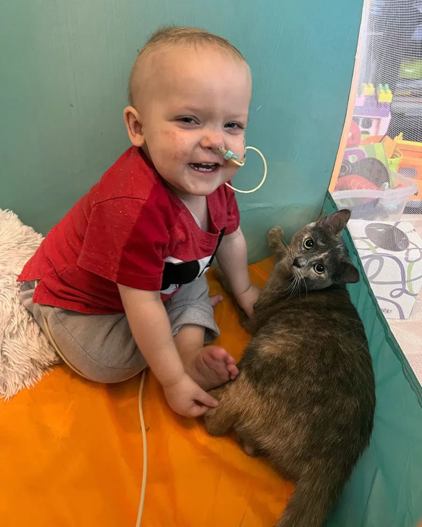 sick baby crying next to the cat