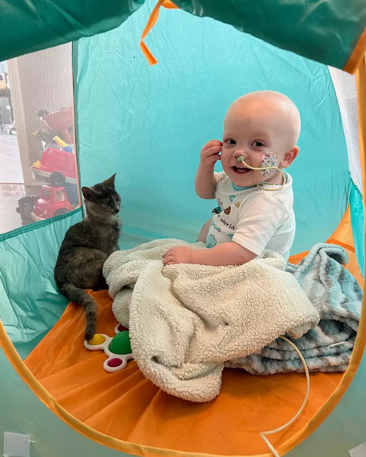 sick baby with cat in a tent