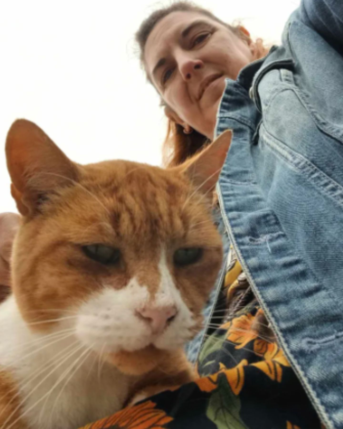 woman and funny cat looking at camera