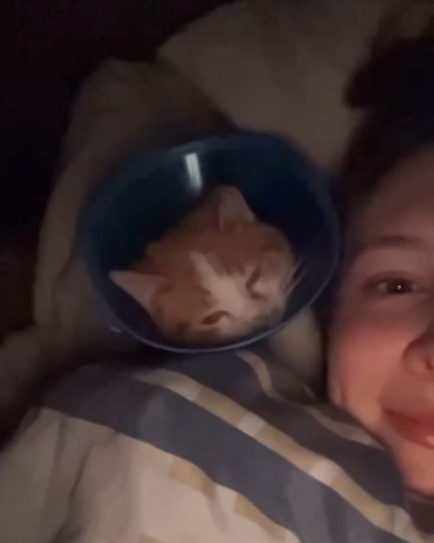 woman and injured cat