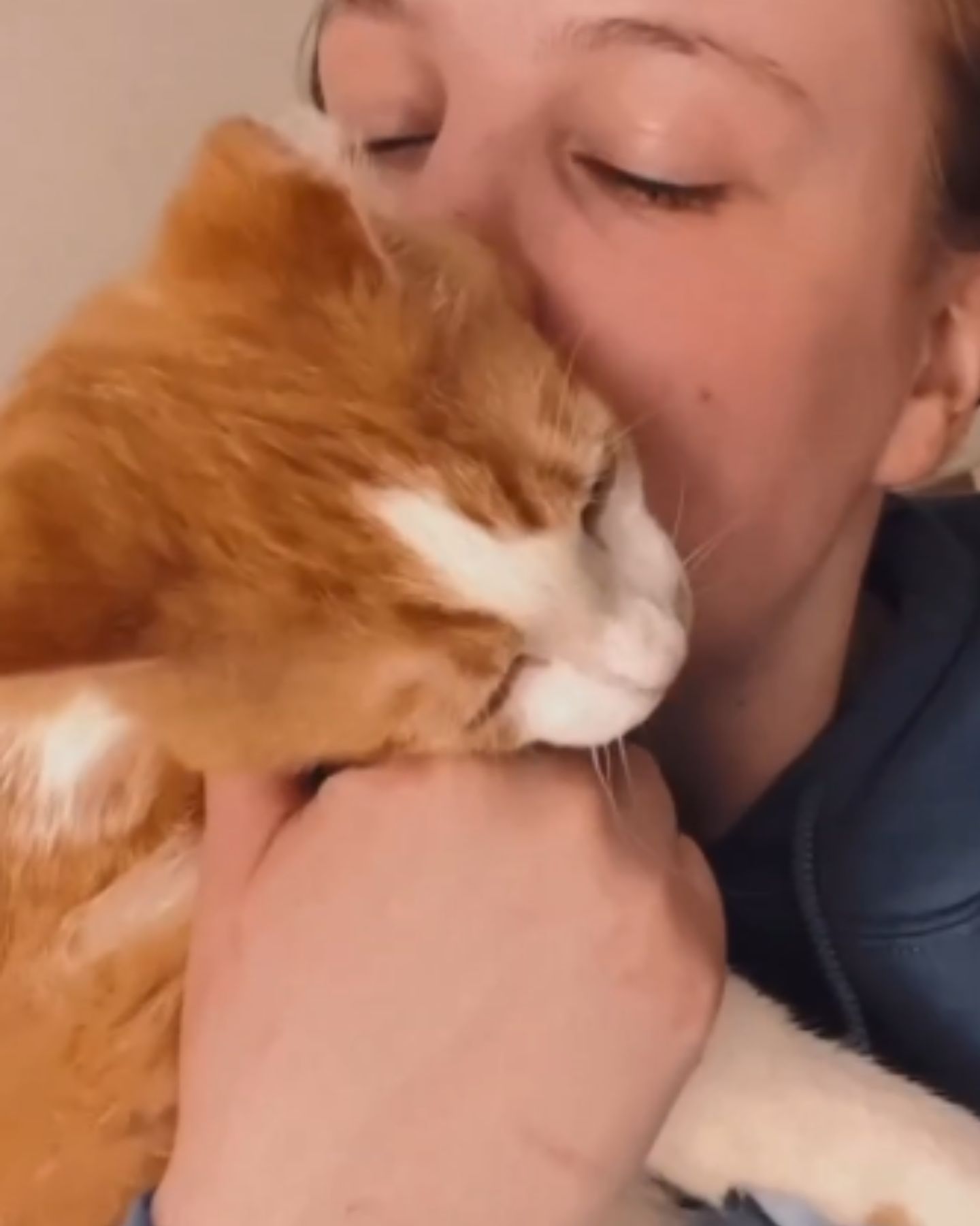 woman kissing a ginger cat