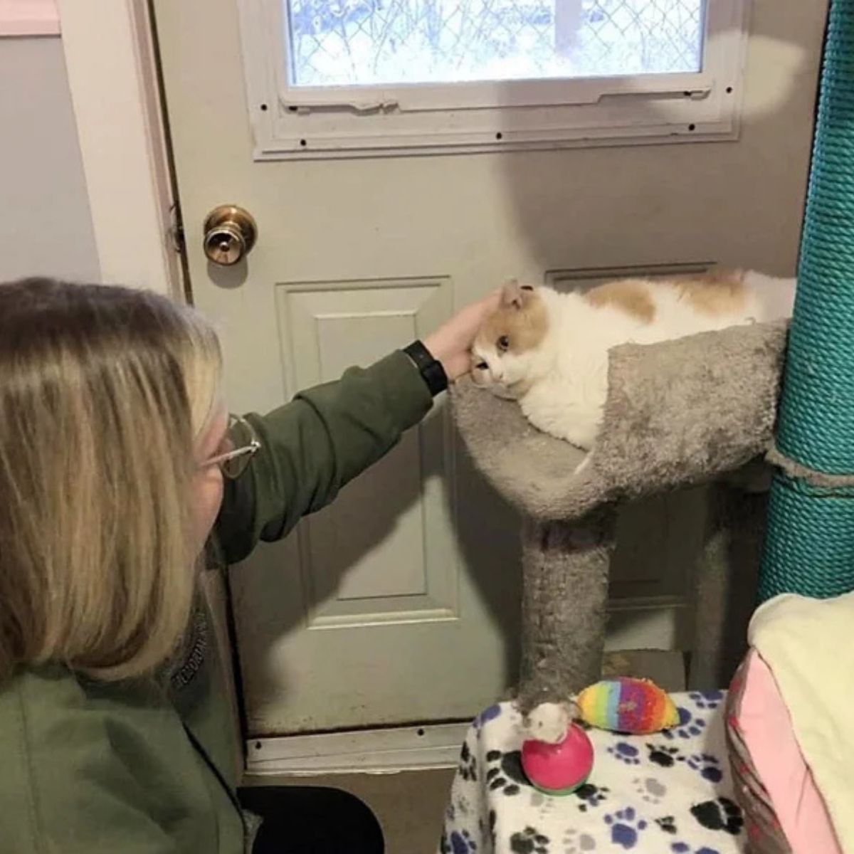 woman petting a cat