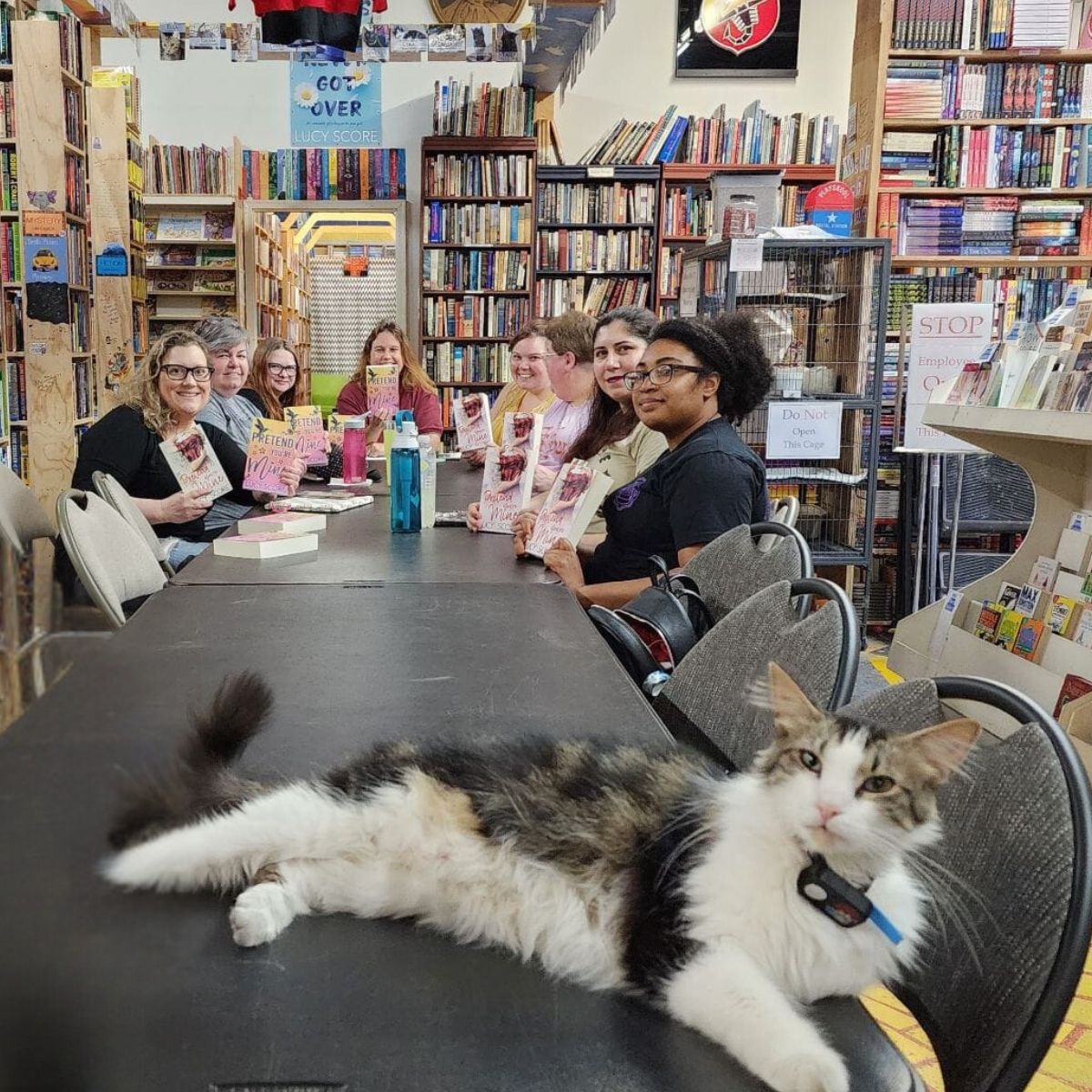 women sitting at the table and a cat lying