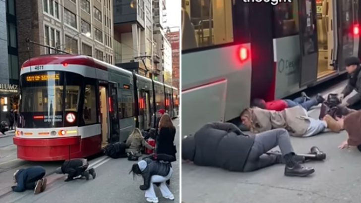 A Whole Crowd Joins Forces To Rescue A Cat Trapped Under A Massive Streetcar In Freezing Cold