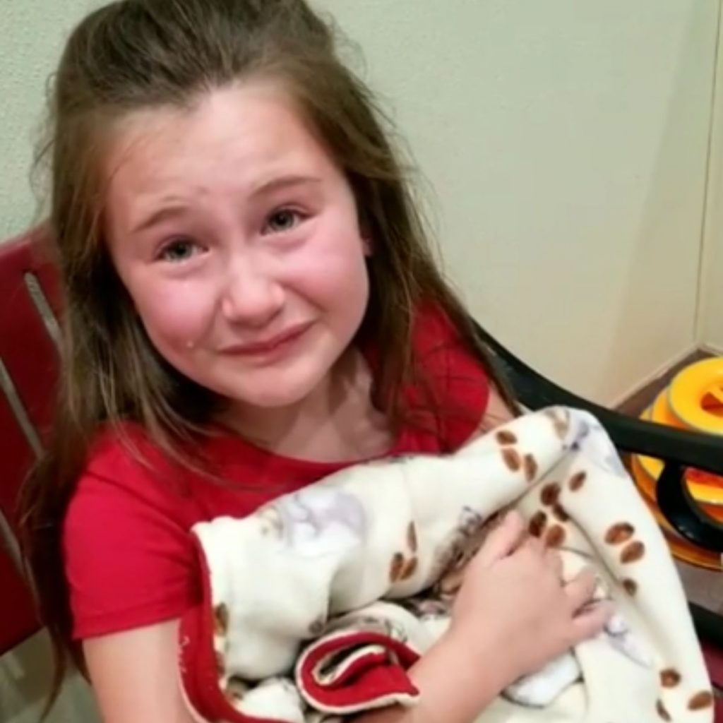 A crying girl holds a kitten in her arms