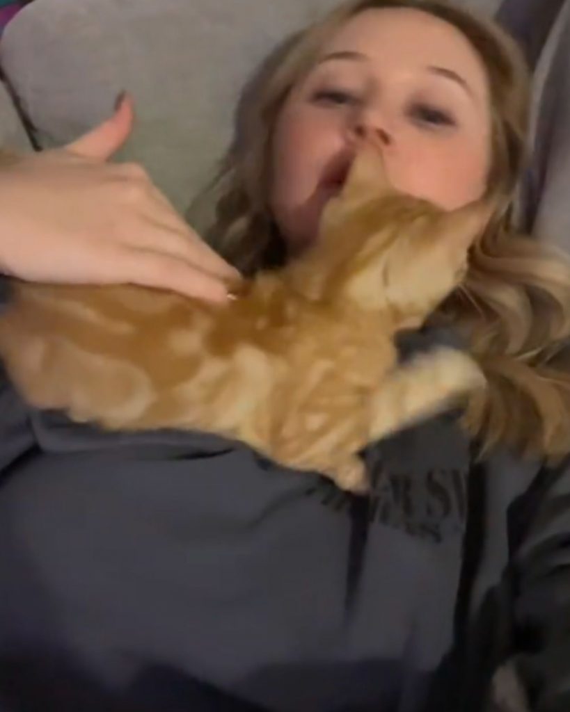 A girl is stroking a yellow kitten on her chest