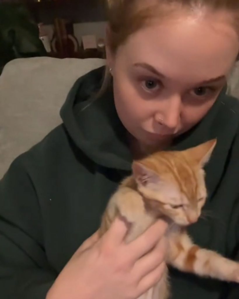 A girl with her hair tied in a ponytail is holding a cat in her arms