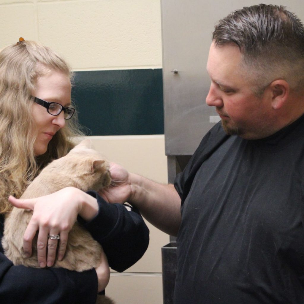 A man petting a cat that is in a woman's arms