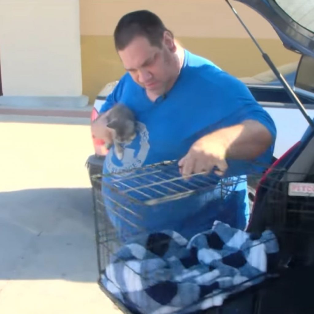 A man puts a kitten in a cage