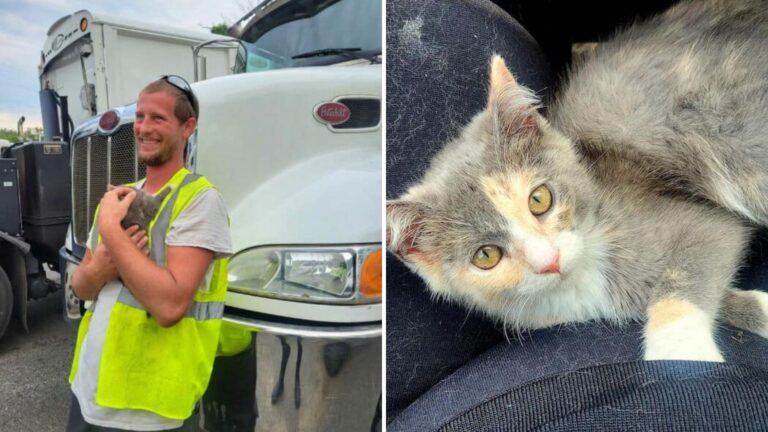 Kitten’s Life Hangs By A Thread In Trash Compactor But A New Jersey Worker Saves The Day