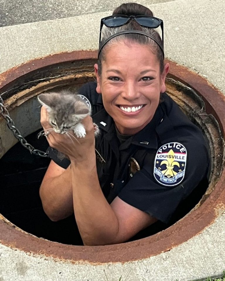 Officer Falls In Love With A Kitten She Rescued From Storm Drain