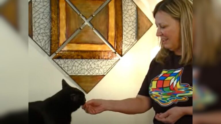 Ohio Family Escapes Life-Threatening Poisoning Thanks To Hero Cat