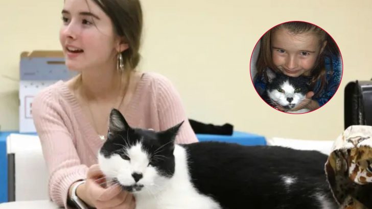 Oregon Teen Shocked To See Her Missing Cat While Volunteering At A Shelter Three Years Later