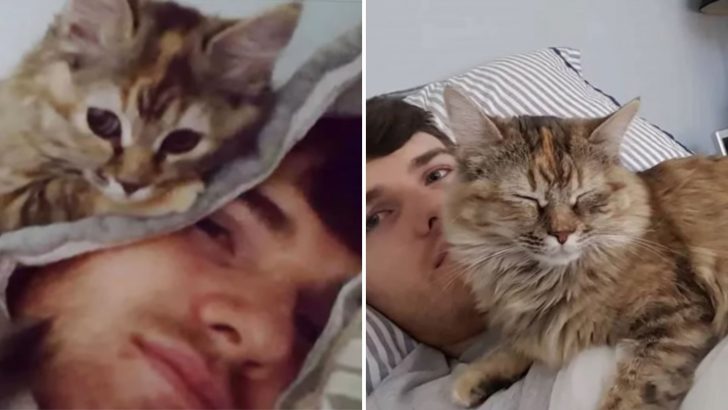 Orphaned Kitten Finds Her New Dad In New Hampshire And Can’t Stop Hugging Him