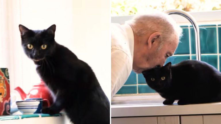 retired teacher with his cat