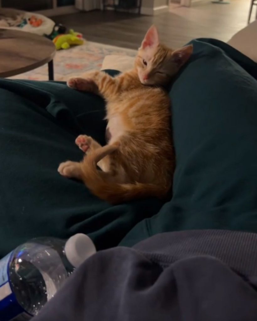 The kitten is lying at the man's feet