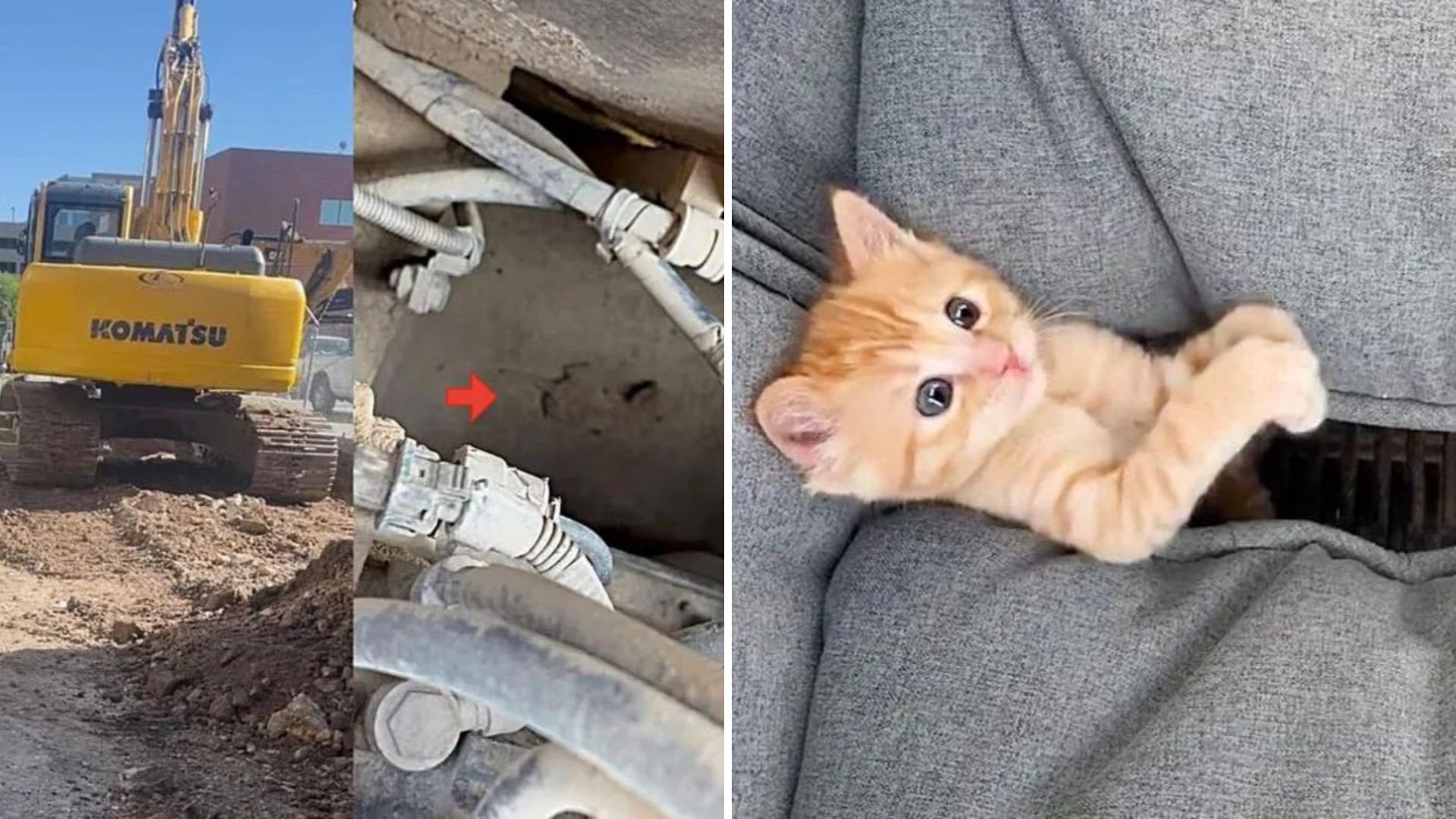 Tiny Kitten Found Crying Inside Excavator Engine Prompts Utah Man To Act