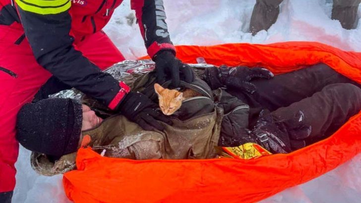 Tiny Kitten Saves His Owner Trapped In A Freezing Mountain Ravine During A Snowstorm