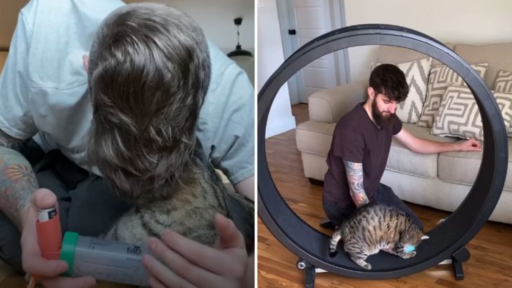 Watch How One Man’s Love And Care Helped His Asthmatic Cat Live His Best Life