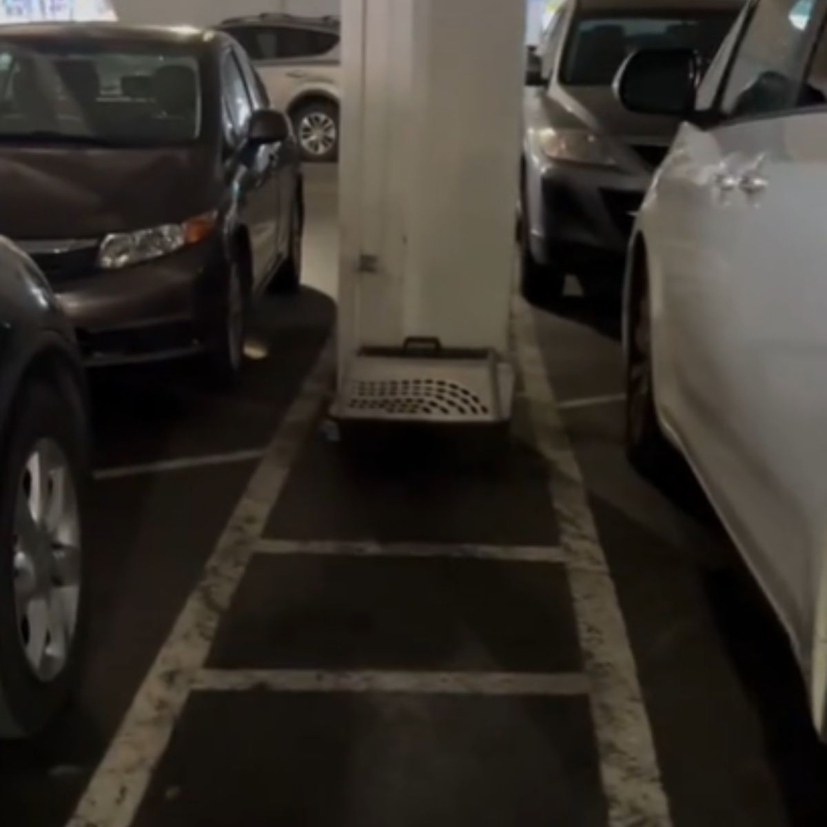 a cat box on the parking in the garage