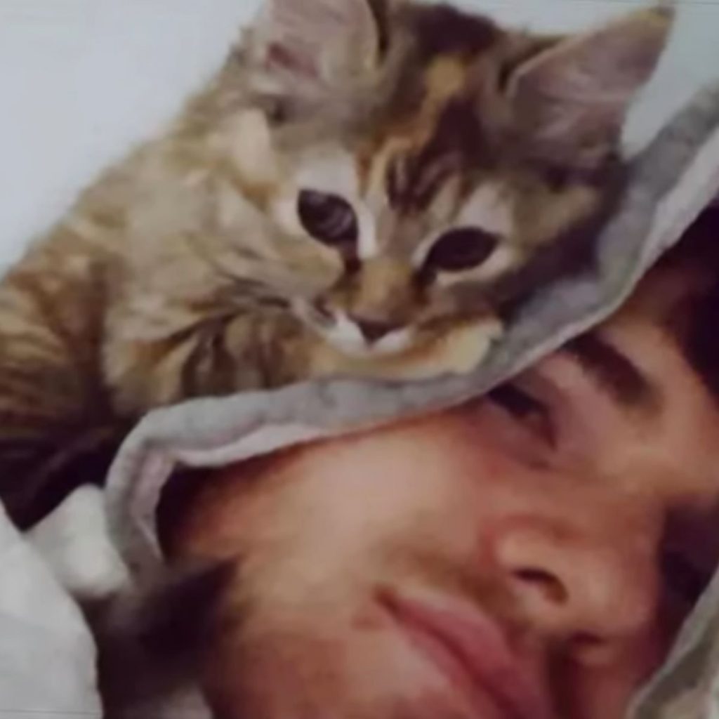 a kitten lies on a man's head