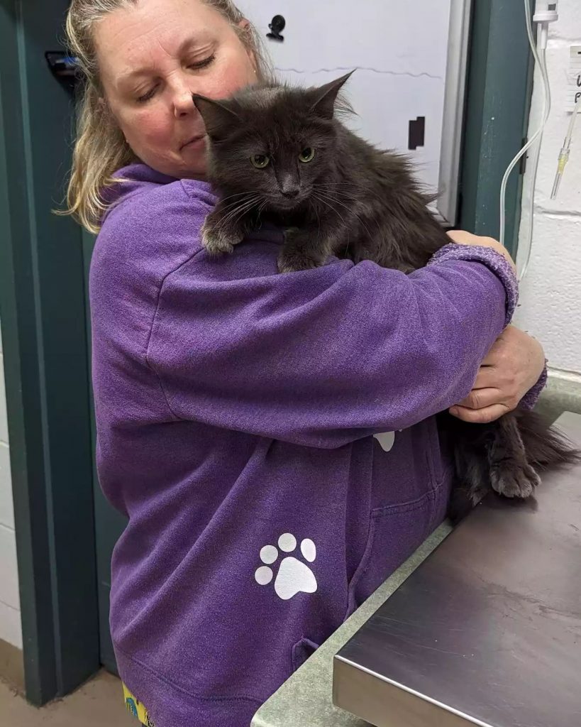 a woman holds a black cat in her arms