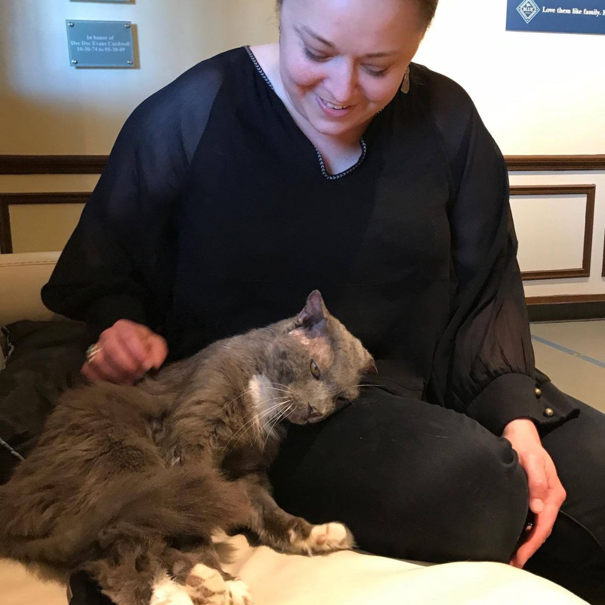 cat cuddling with woman