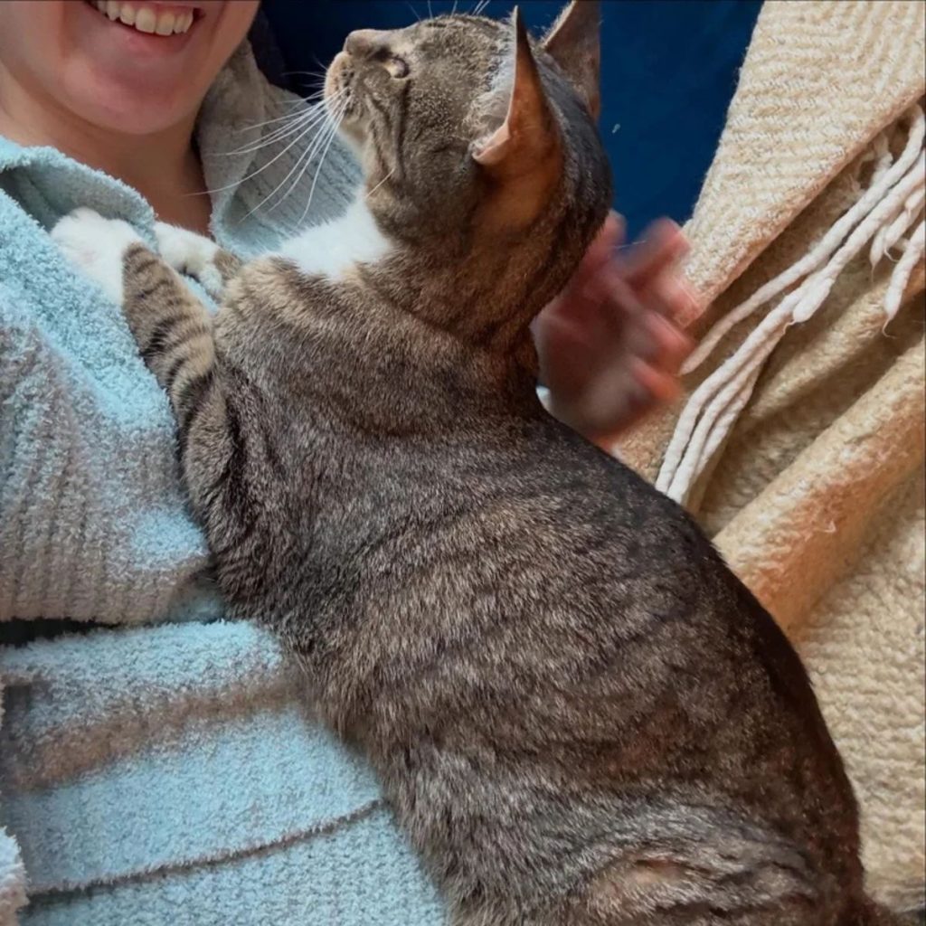 cat on the chest of a smiling girl